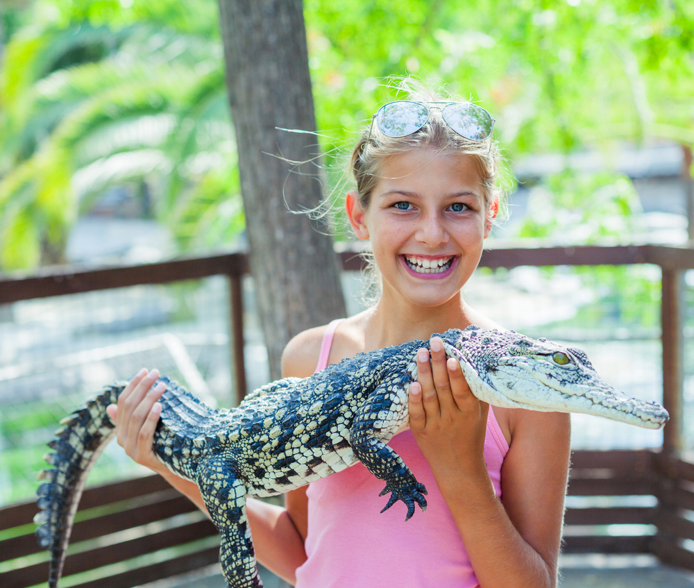 krokodyli zoo protivin